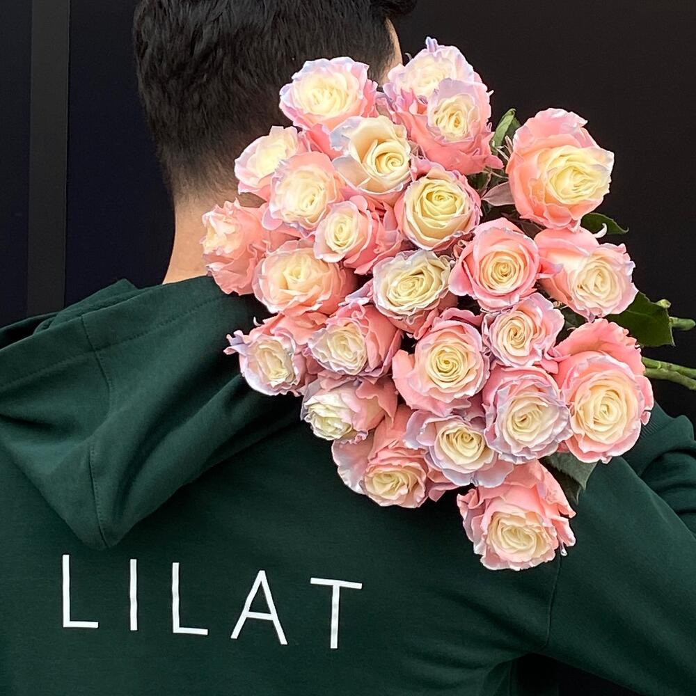 Color Rose Lilat