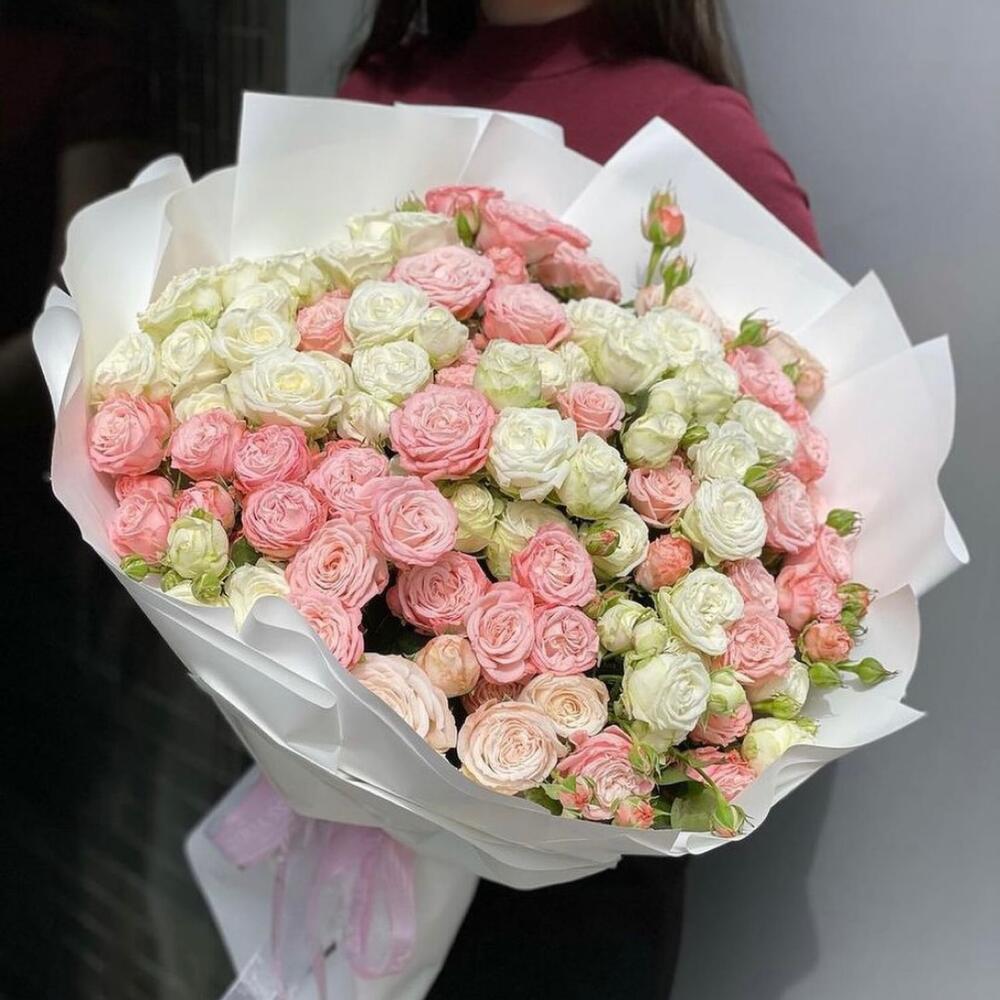 Have a Nice day